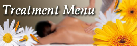 Treatment Menu